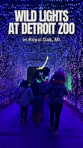 Wild Lights *IS BACK* at the Detroit Zoo — and it’s bigger, BRIGHTER & more magical than ever! 🌟 Stroll through millions of lights, 500 glowing displays, and ALL-NEW attractions like the Enchanted Rainforest, Light Bright Wall, Living Wishing Tree, Pop-Up Performances and more! 💃 Dance to the LIGHT SHOW at the front (and end) of the Zoo! 🌟 Take a walk through the *NEW* ENCHANTED RAINFOREST filled with amazing sights & sounds! 💡 Find the GIANT LIGHT BRIGHT BOARD 🤩 Check out the NEW LIGHTED T