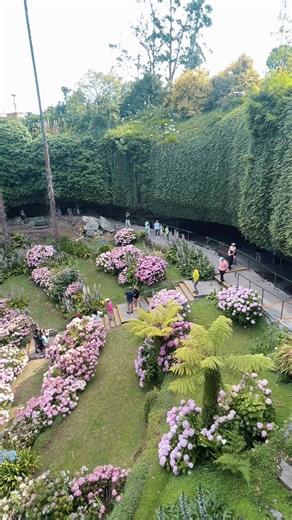 Top Sinkhole Attractions in Mount Gambier, Australia