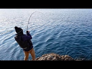 Colorful new fish species