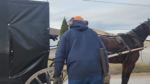 3.8K views · 81 reactions | Who says you can't lead a horse to the March madness sale | Wacky Wally's Firewood | Facebook