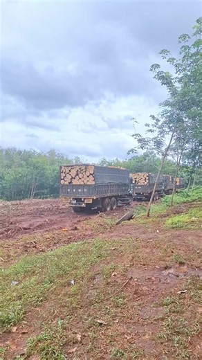 Khám Phá Ao Đồ Út Bảo Tại Bình Phước