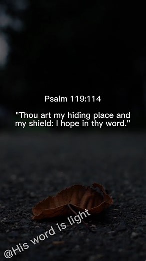 Psalm 119:114
