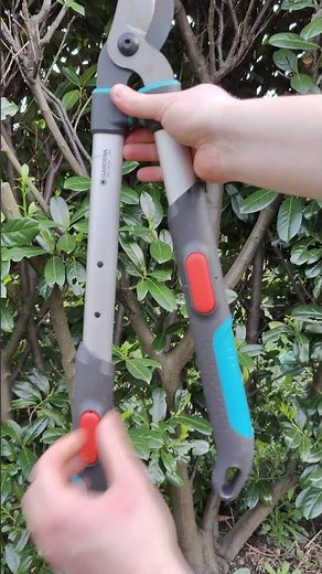 Hedge trimming, hedge cutting - hedge trimmer