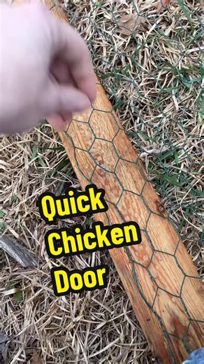 How to Build a Chicken Run Door Using Scrap Materials