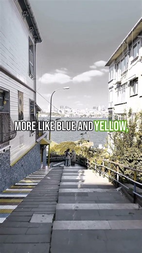 Why Me and My Cat See Different Colors #Cats #Vision #Science #Animals #Shorts #Facts #naturefacts