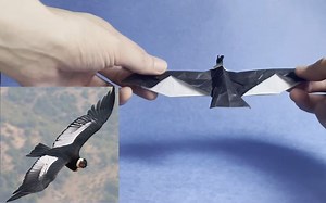 【Madiyar Origami】安第斯神鹰折纸教程Origami Andean Condor_哔哩哔哩_bilibili