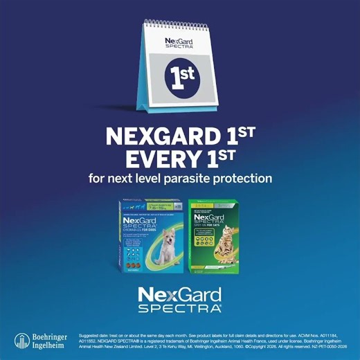 NexGard SPECTRA® for Dogs Parasite Protection - NexGard SPECTRA 1st Training 6"