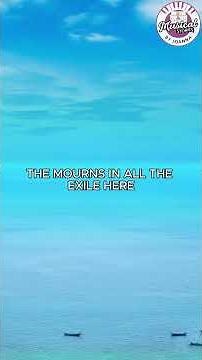 🎄 ✨ o come o come Emmanuel #wonderfulchristmastime🎄 ✨ #worshipmusic