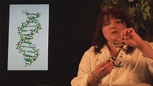 Watch How to Make a DNA Model on Amazon Live
