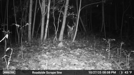 Turn it up! 🦌 🔊🔊🔊 @moultrieproducts | DO3 OUTDOORS