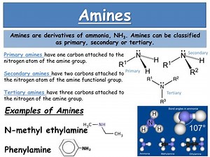 PPT - Amines PowerPoint Presentation, free download - ID:5335723
