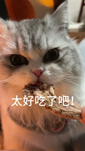 逵子第一次吃鹌鹑腿，咬了一口就被震惊到了，太香啦！#可爱到爆炸💥