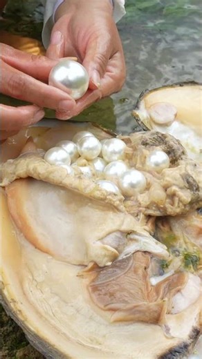 River Secrets: Girl Finds Mutant Clams Loaded with Pearls