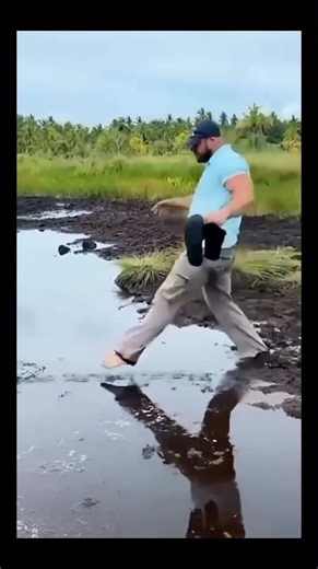 Top funny shorts🤣 memes,fails,epics #shorts#funny#comedy