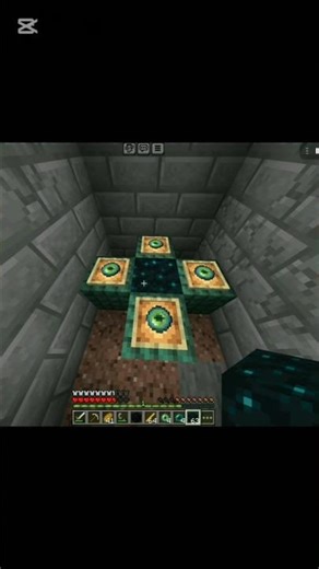minecraft speed run #minecraft