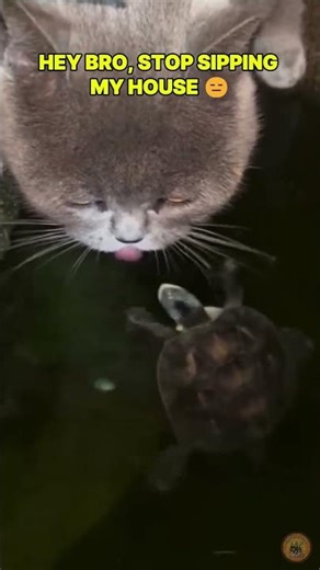 My house is not a beverage 👀 I #funny #funnypets