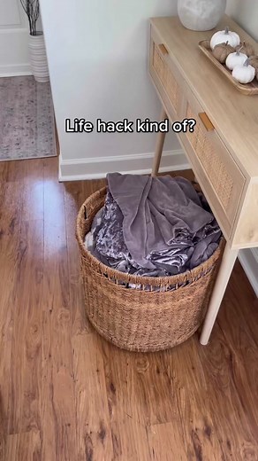 Aesthetic Blanket Basket Ideas for Living Room Storage Solutions