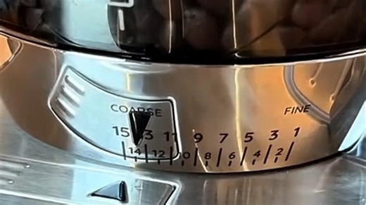 德龙（Delonghi）【国家补贴】咖啡机 冷萃半自动咖啡机 家用现磨意式研磨一体机 手动打奶泡 EC9255.M 银色