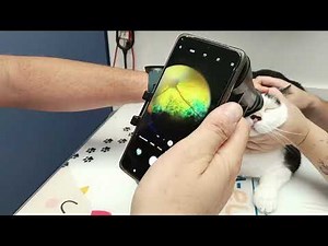 Essai de l'ophtalmoscope WFE-02S NUN Wikioptics NUN retinographe smartphone photo video retine