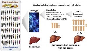 Test de risc genetic dezvoltat pentru a prezice ciroza hepatică alcoolică