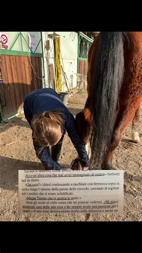 @Claire Dee #fyp #booktok #booktokitalia #cavalli #beyondthesurface