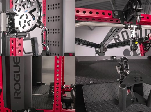 The Rogue Monster Rhino Trainer