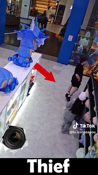 Mall Security Camera Captures Thieves in Action