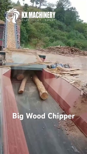 Heavy Duty Wood Logs Chipper Biomass Wooden Branches Chipper Crusher Machine#woodcrusher #chipper