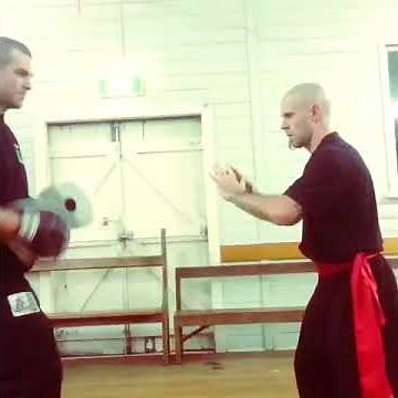 Southern Praying Mantis Kung Fu Pad Work
