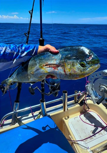 Ultimate Fishing Gear Tips for Perth Adventures