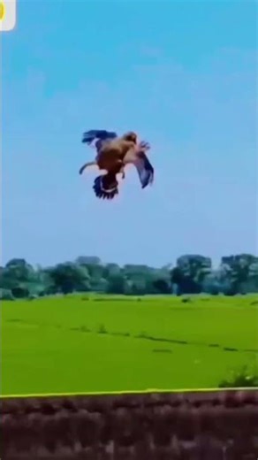 100% Guaranteed Laugh | Best Comedy Reel Telugu