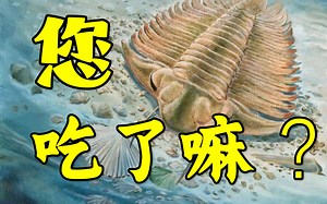 三叶虫的食谱，一起来吃点儿不？