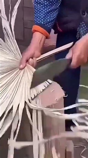 A special plant that is being cut using a sharp cutting tool