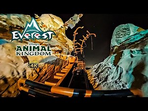 Expedition Everest at Night On Ride Front Seat Low Light 4K POV Disney's Animal Kingdom 2025 01 01