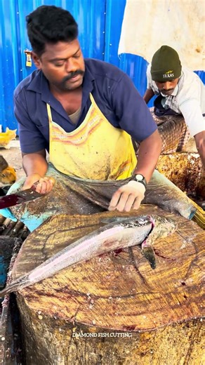 KASIMADU SPEEDSELVAM COBIA FISH CUTTING VIDEO #kasimeduselvam