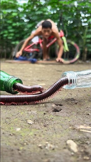 Dreamer snoring, I can only sleep soundly once the millipede has eaten palm sugar #millipede