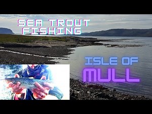 Go West FOR SEA TROUT ! chasing the silver ghosts of the tide on the Isle of mull. UK fly fishing