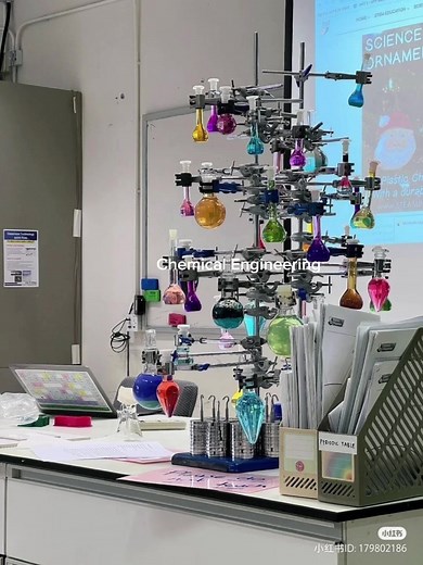 Chemical Engineering: Specializations, Work, and Vibes