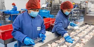 SEAFISH SEAFOOD PROCESSING SURVEY UNDERWAY