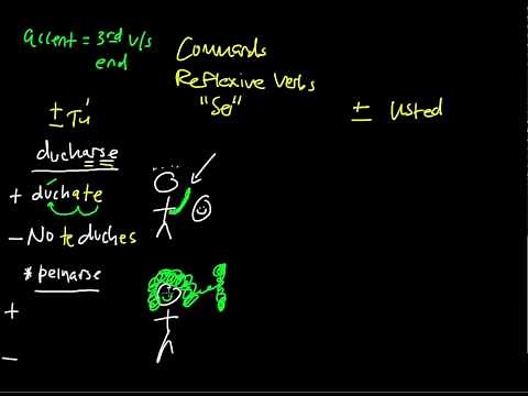 Commands Reflexive Verbs