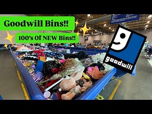 Let’s Go To Goodwill Bins!!! 100s Of New Bins To Dig Thru! +1 Item Worth $100++! Thrift With Me!