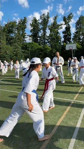 The Kyokushin journey continues this summer. XX International Summer Camp 2026 is coming!