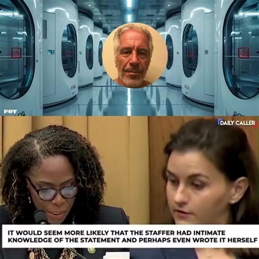 It's been confirmed that Epstein was involved in human cloning. It's also been confirmed that Rep Stacey Plaskett went to Epstein's Island and received his money and instructions. Controlled puppet-clones need handlers, which would explain the behavior of Plaskett's staffer. | Corlandras Smith