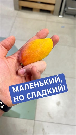 Пробую тот самый мини манго! #обзор