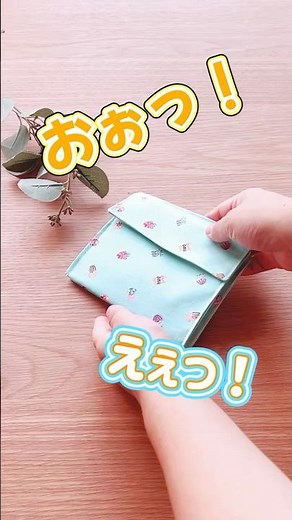 Won’t Pop Open Easily. Simple! No Zippers! How to Make a Handy Twin Pouch with Two Compartments