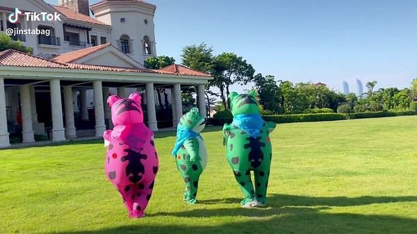 Adult Inflatable Frog Costume for Fun Parties