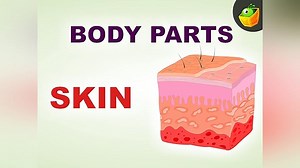 Know Your Body Season 1 Episode 1