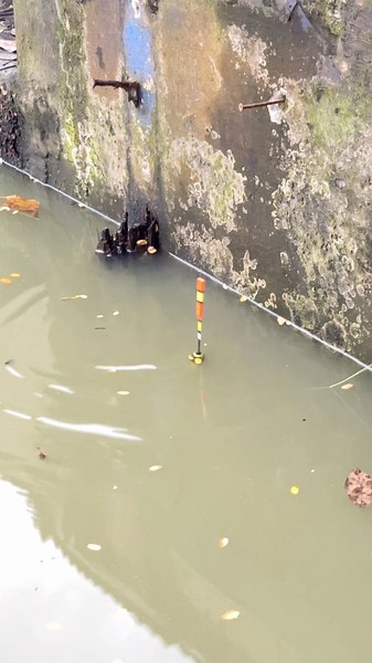 how can it escape😱#fishing #fypyoutube #mancing #shorts