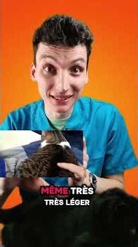 Have you seen it before? #cats #veterinarian #knowledge #learn #blackcat #vet #animals #curiosities