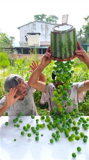 hai anh em trêu chọc nhau siêu dễ thương 🍭🍉🍉🍉🍉🍉🍫🍡🍹🍬🥤👨‍🌾👶🧓👴♥️👴 #shorts #cute #funny